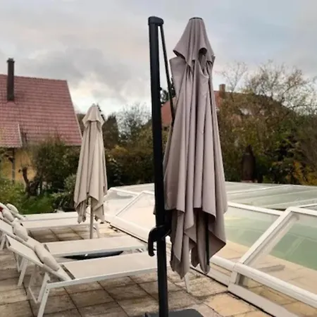 Soh Rent Piscine Proche Strasbourg Tv - Wifi - Parking *