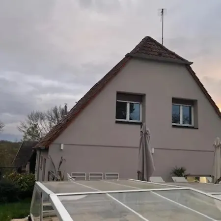 Soh Rent Piscine Proche Strasbourg Tv - Wifi - Parking Lampertheim