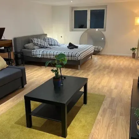 Soh Rent Piscine Proche Strasbourg Tv - Wifi - Parking *