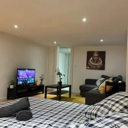 Soh Rent Piscine Proche Strasbourg Tv - Wifi - Parking
